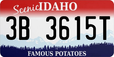 ID license plate 3B3615T
