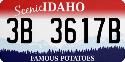 ID license plate 3B3617B