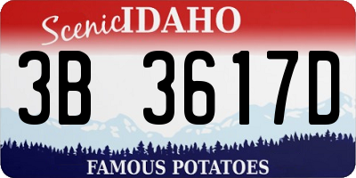 ID license plate 3B3617D