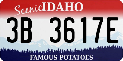 ID license plate 3B3617E