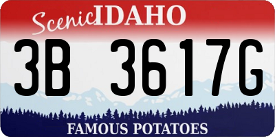 ID license plate 3B3617G