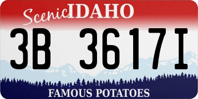ID license plate 3B3617I