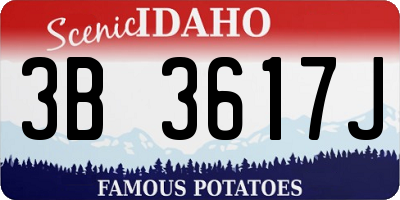 ID license plate 3B3617J