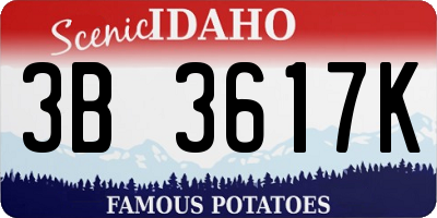 ID license plate 3B3617K