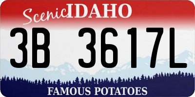 ID license plate 3B3617L