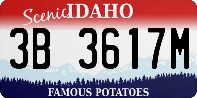 ID license plate 3B3617M