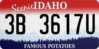 ID license plate 3B3617U
