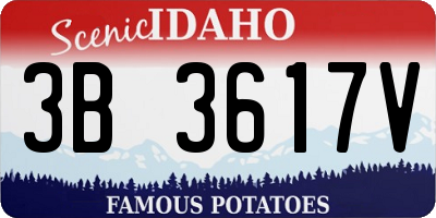 ID license plate 3B3617V