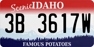 ID license plate 3B3617W