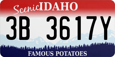 ID license plate 3B3617Y