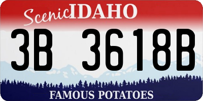 ID license plate 3B3618B