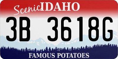 ID license plate 3B3618G