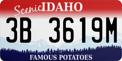 ID license plate 3B3619M
