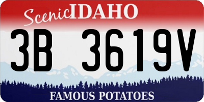 ID license plate 3B3619V