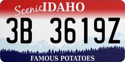 ID license plate 3B3619Z