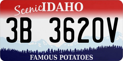 ID license plate 3B3620V