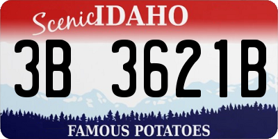 ID license plate 3B3621B