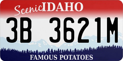 ID license plate 3B3621M