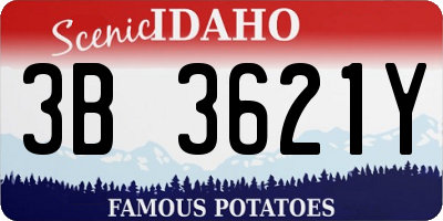 ID license plate 3B3621Y