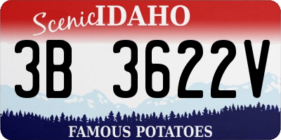 ID license plate 3B3622V