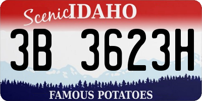 ID license plate 3B3623H