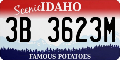 ID license plate 3B3623M