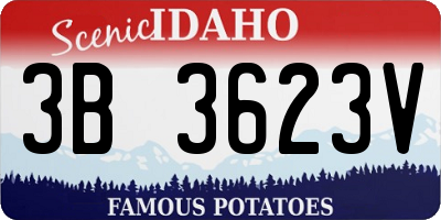 ID license plate 3B3623V