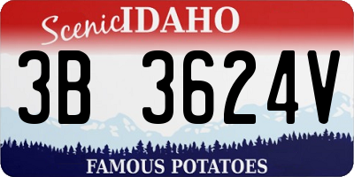 ID license plate 3B3624V