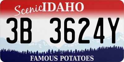 ID license plate 3B3624Y
