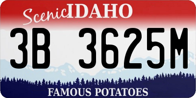 ID license plate 3B3625M