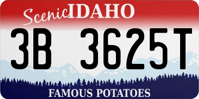 ID license plate 3B3625T