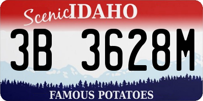 ID license plate 3B3628M