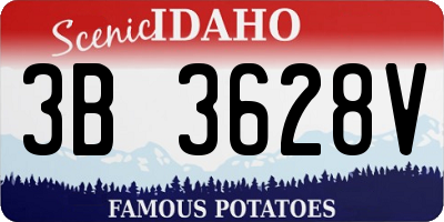 ID license plate 3B3628V
