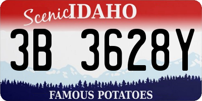 ID license plate 3B3628Y