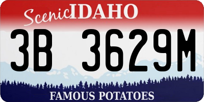 ID license plate 3B3629M