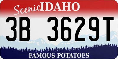 ID license plate 3B3629T