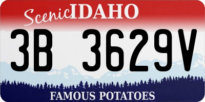 ID license plate 3B3629V
