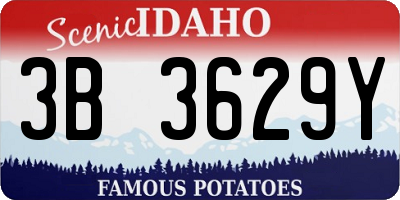 ID license plate 3B3629Y