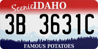ID license plate 3B3631C