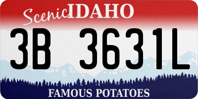 ID license plate 3B3631L