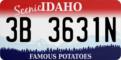 ID license plate 3B3631N