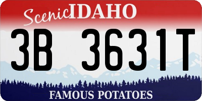 ID license plate 3B3631T
