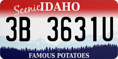 ID license plate 3B3631U