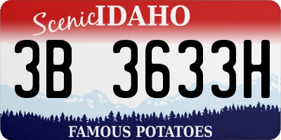 ID license plate 3B3633H