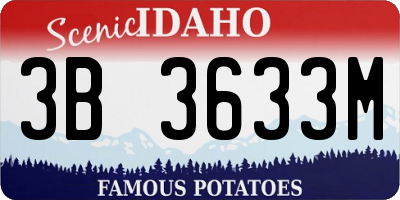 ID license plate 3B3633M