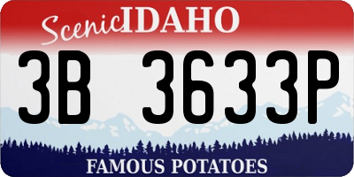 ID license plate 3B3633P