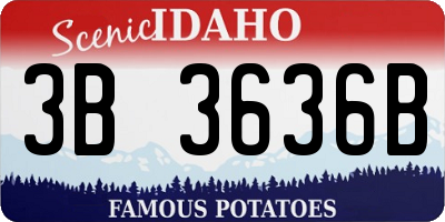 ID license plate 3B3636B