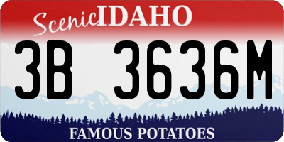 ID license plate 3B3636M