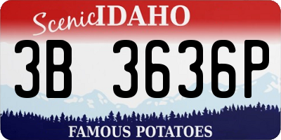 ID license plate 3B3636P