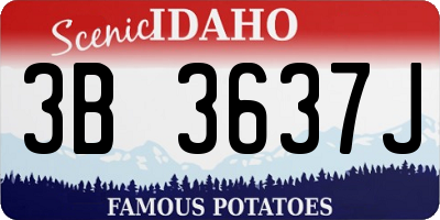 ID license plate 3B3637J